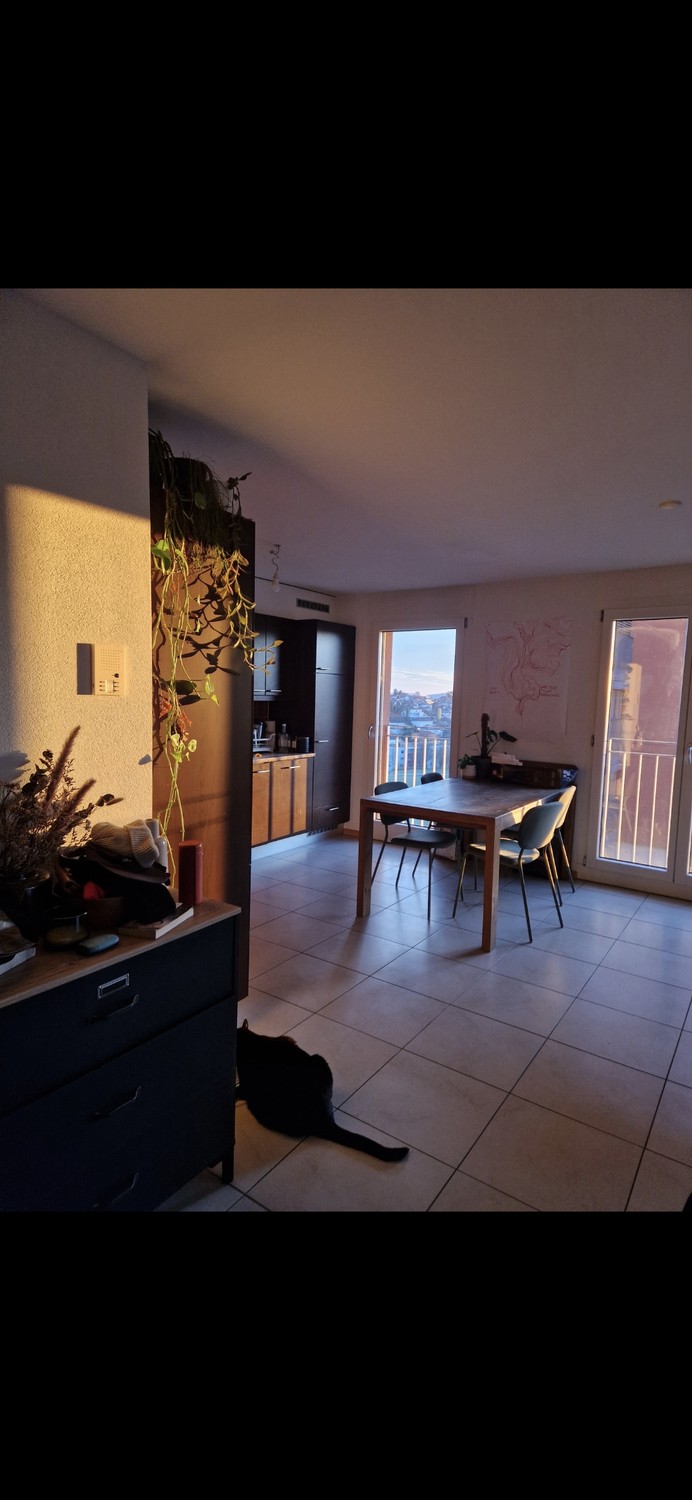 Appartamento di 2 ½ locali