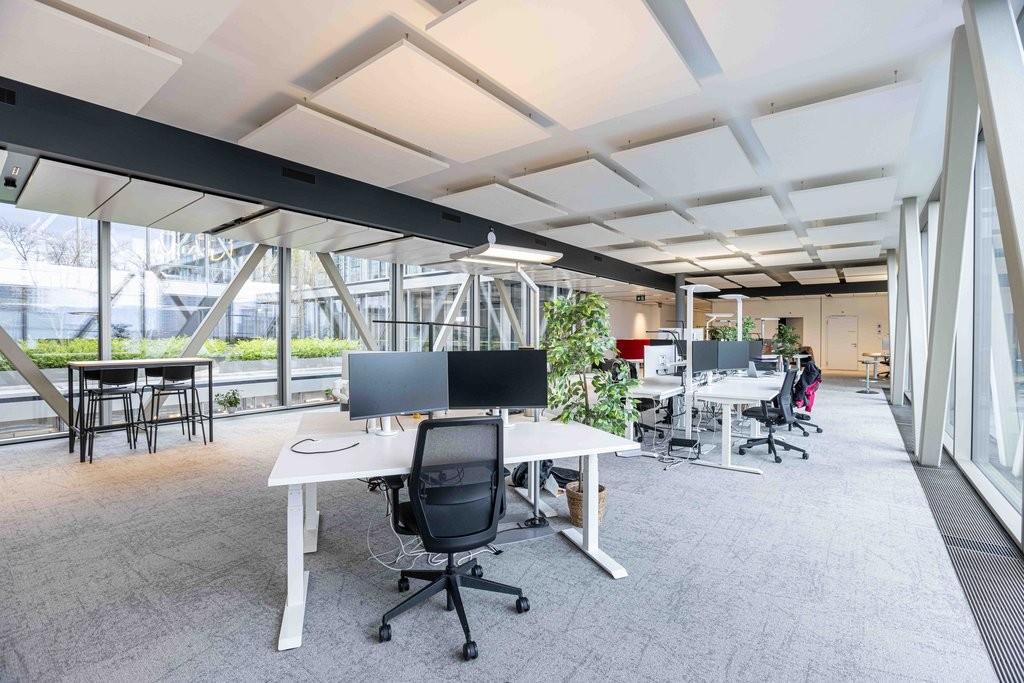 559m² office