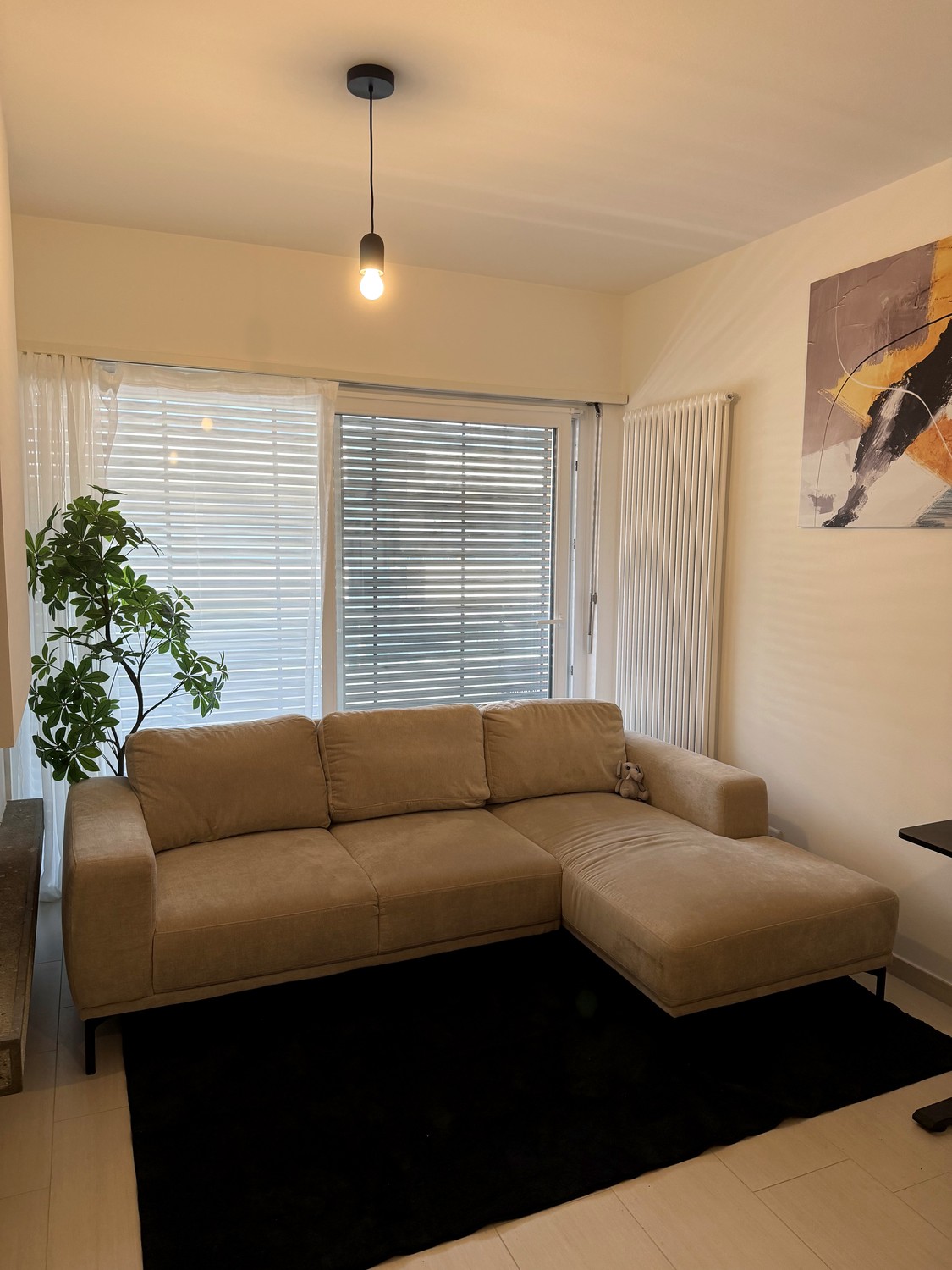 2 ½ Zimmer-Wohnung