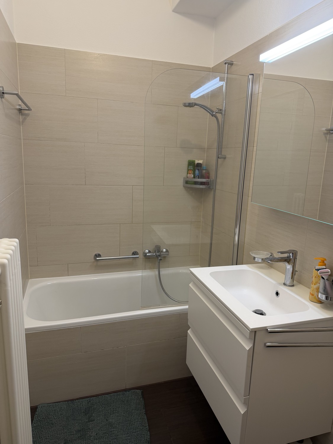 2 ½ Zimmer-Wohnung