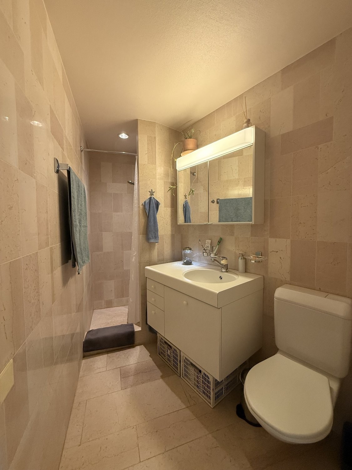 4 ½ rooms furnished flat