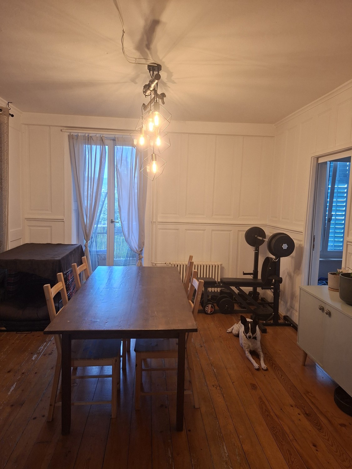Room in a shared flat