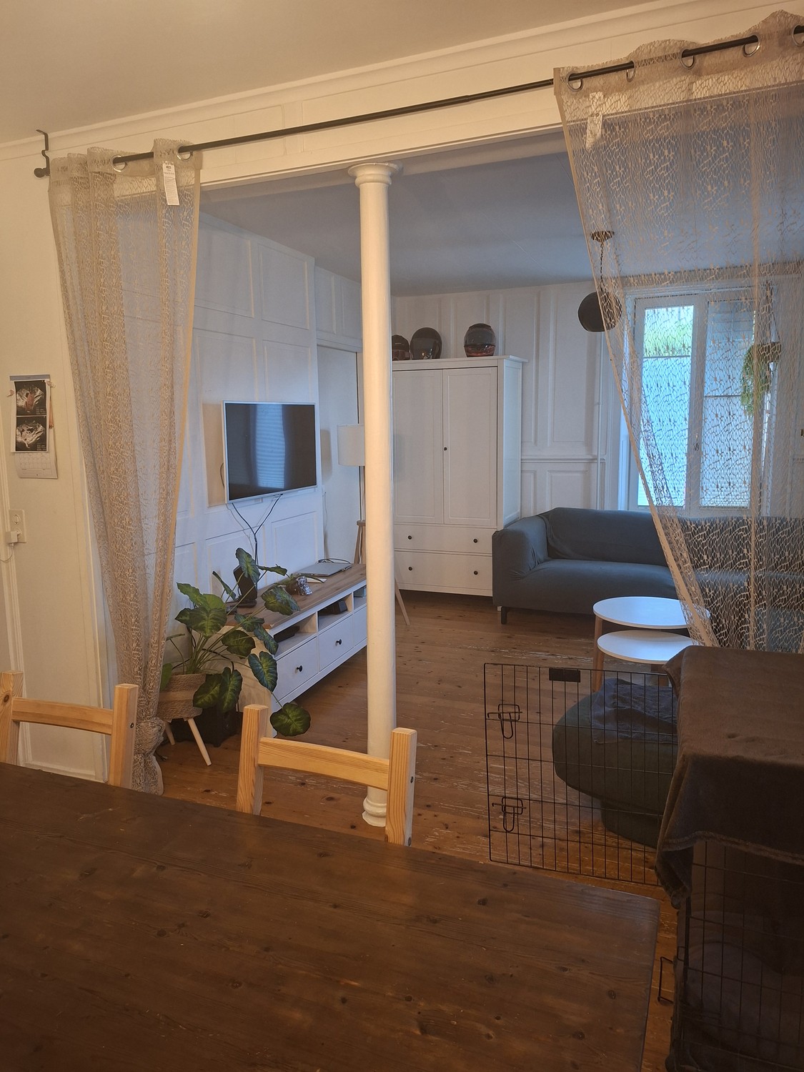 Room in a shared flat