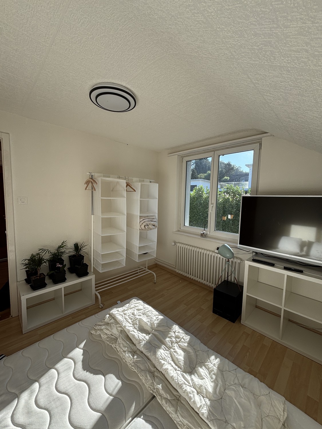 Chambre en colocation