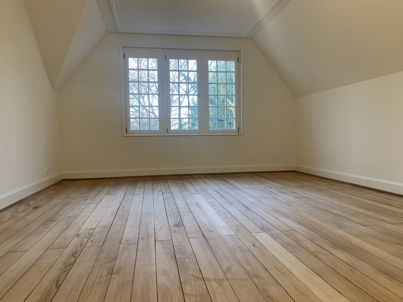 5 ½ rooms duplex