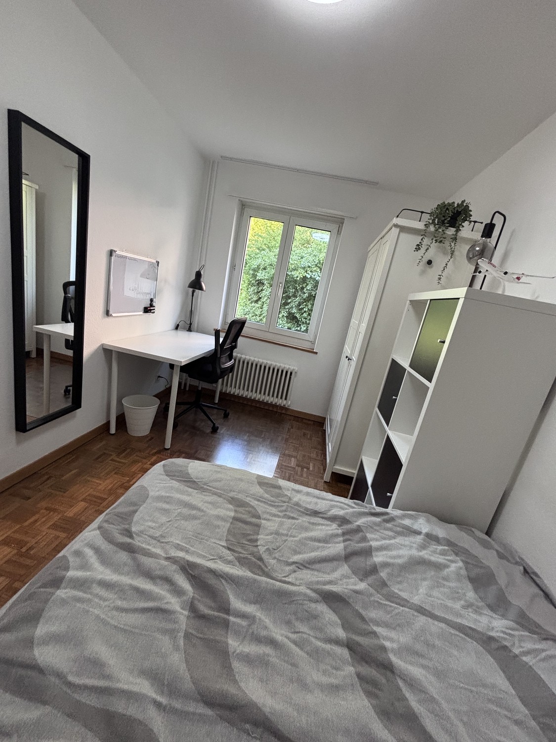 Room in a shared flat