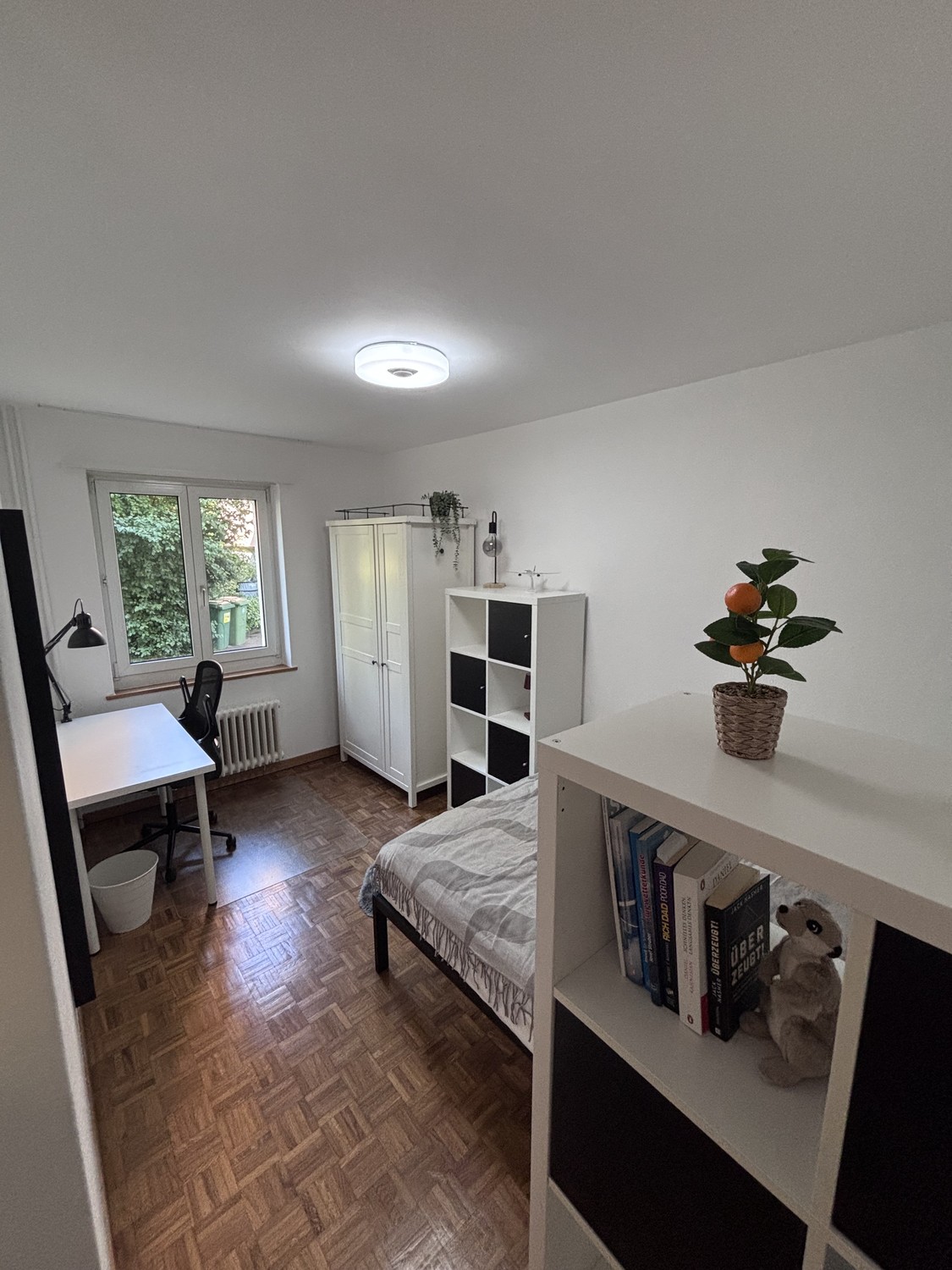 Room in a shared flat