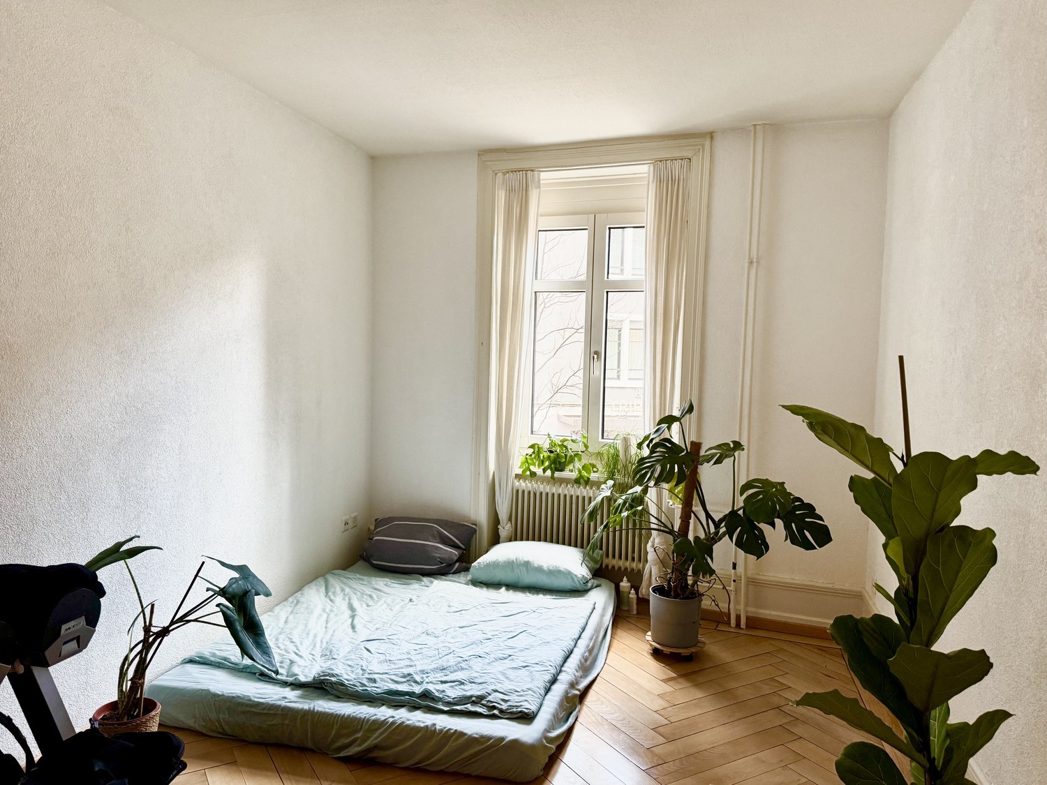 Chambre dans un appartement partagé