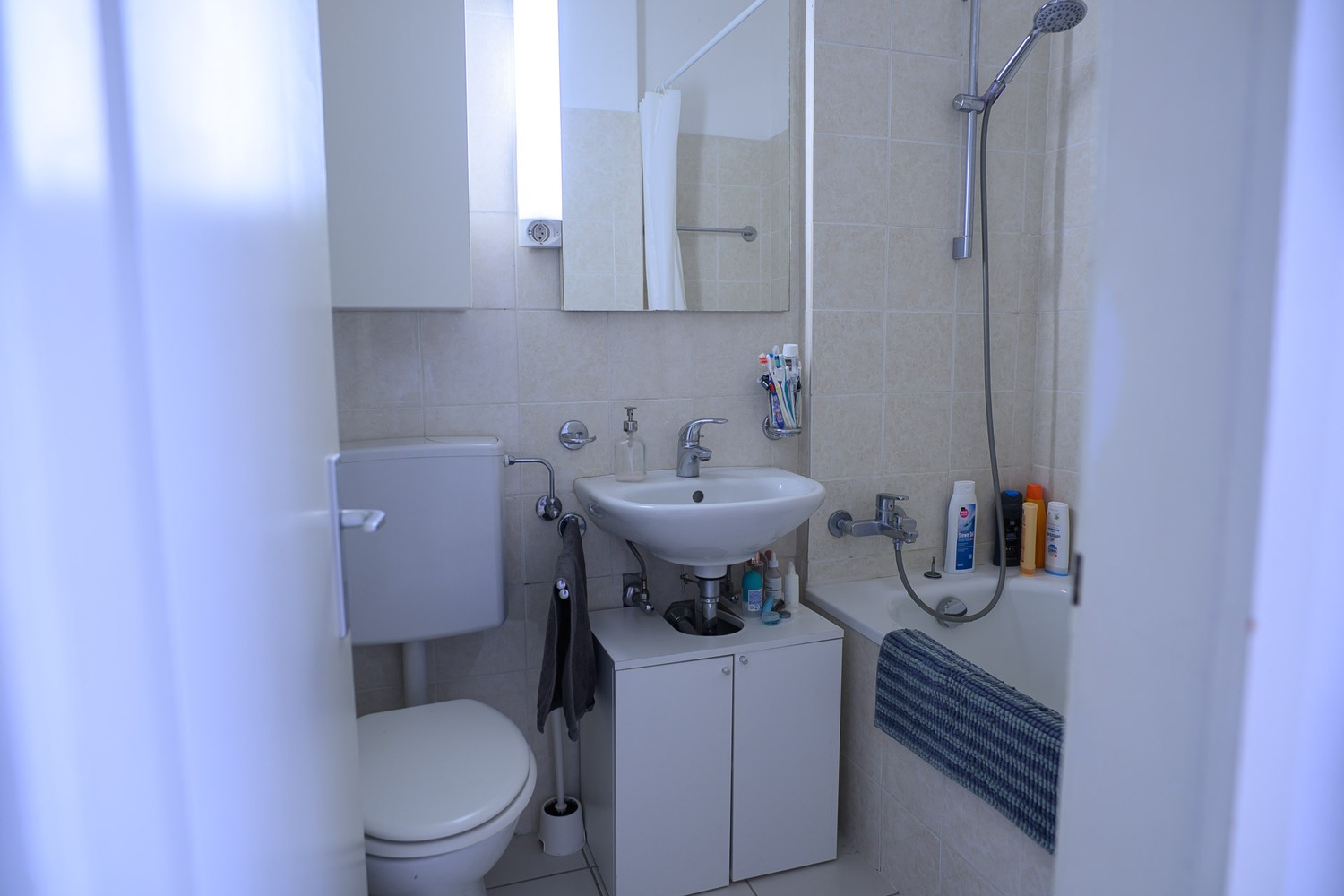 2 ½ Zimmer Wohnung