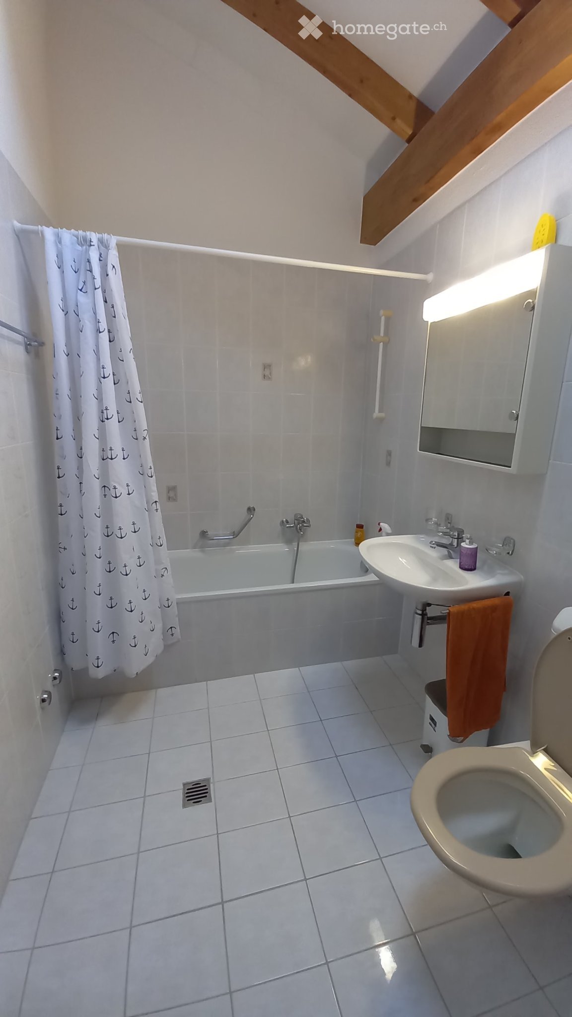 2 ½ Zimmer Wohnung