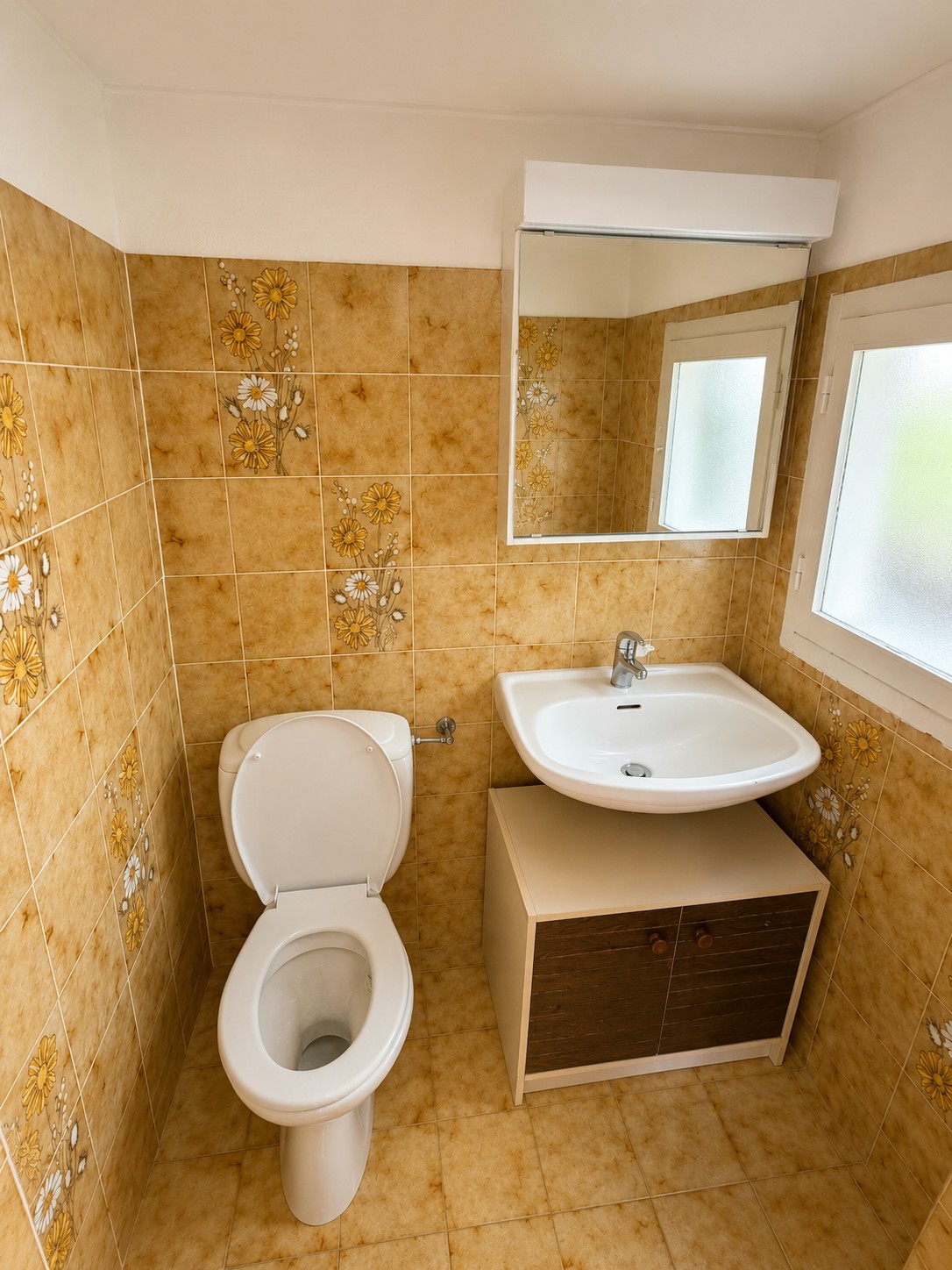 3 ½ Zimmer Einfamilienhaus