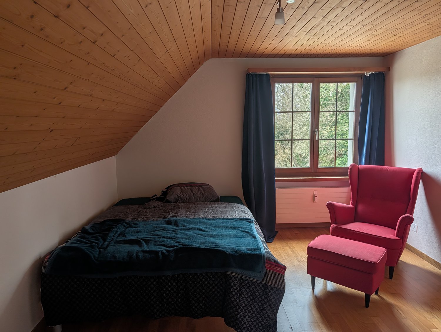 Room in a shared flat