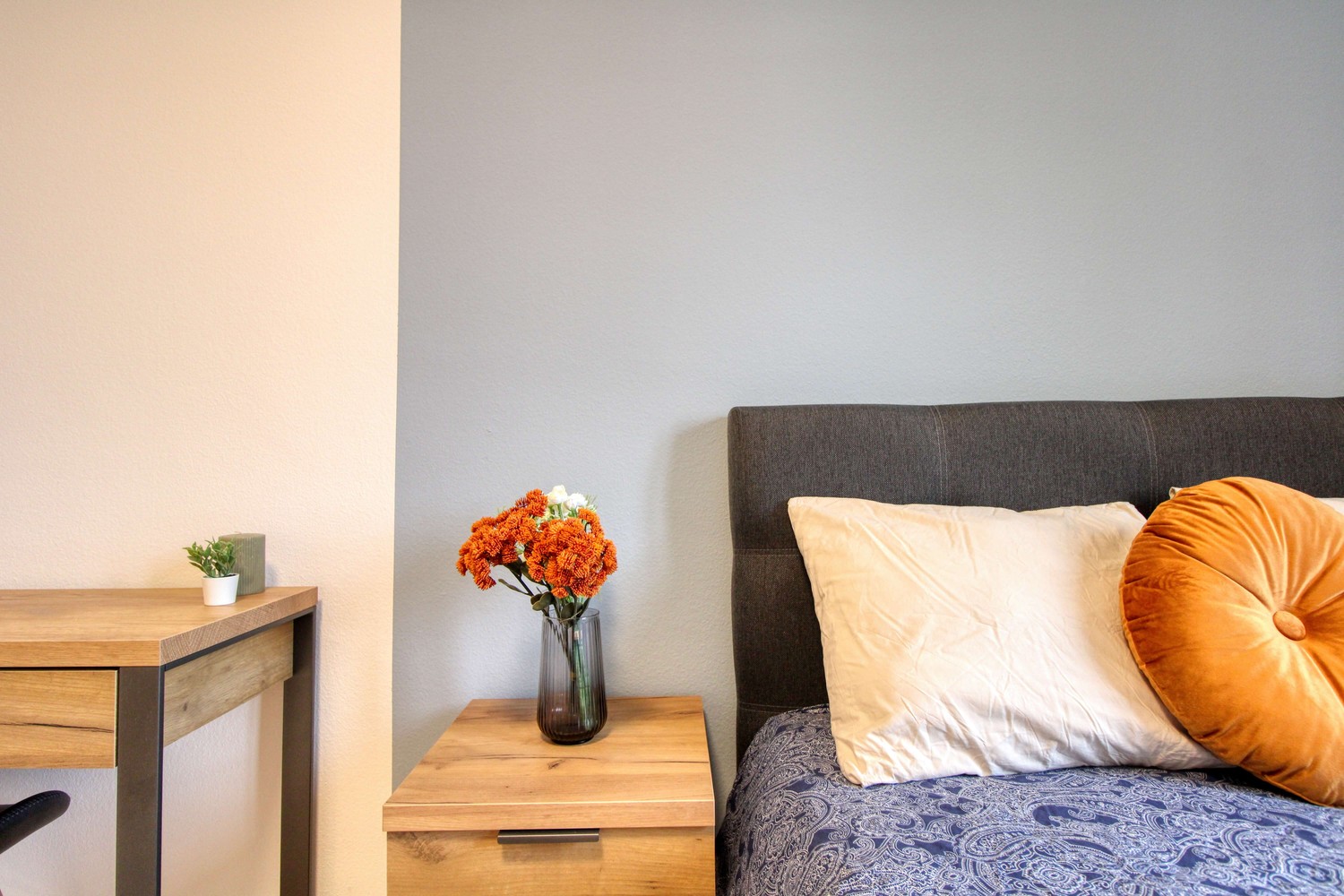 Chambre en colocation