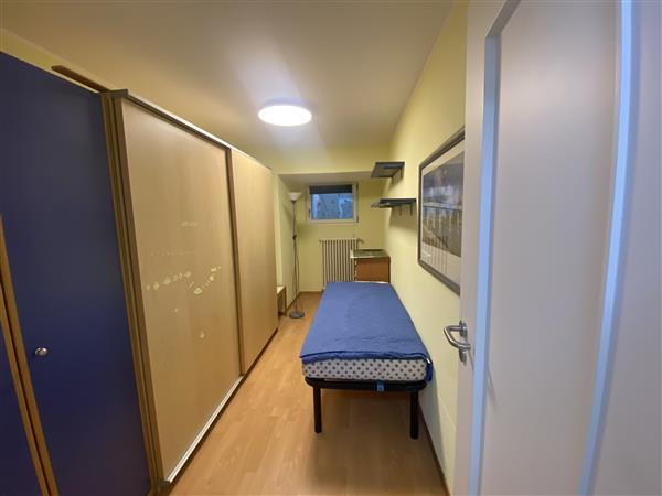 3 ½ Zimmer-Wohnung