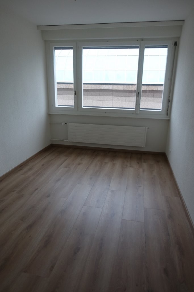 3 ½ Zimmer-Wohnung