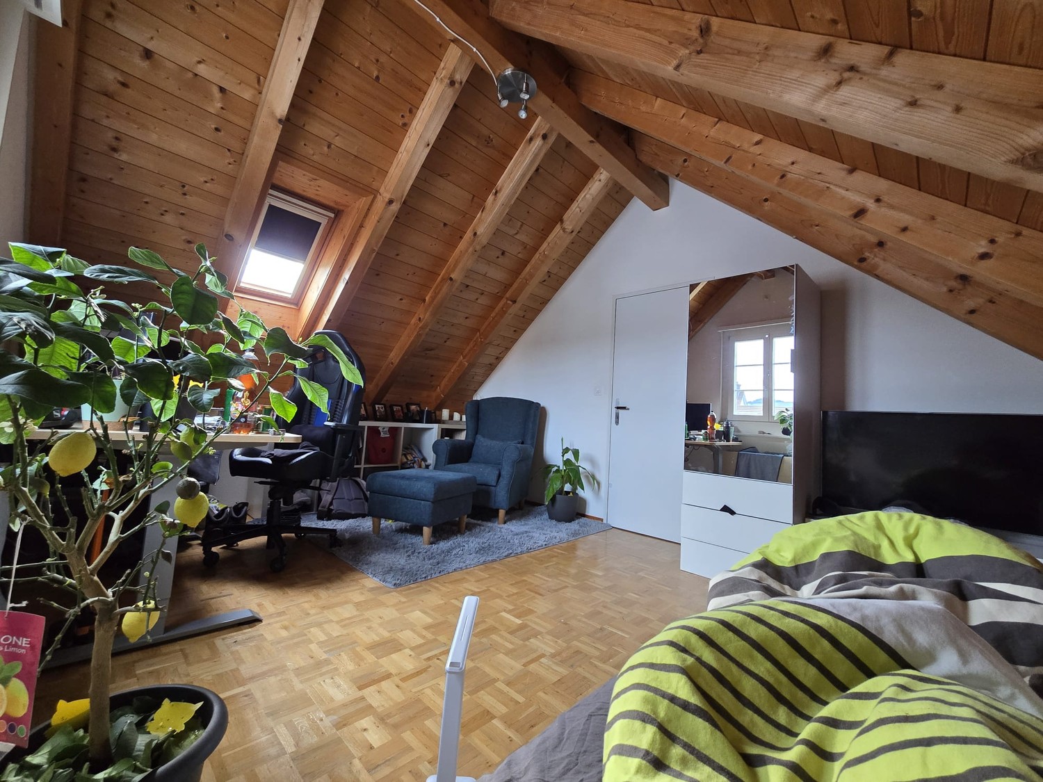 Room in a shared flat