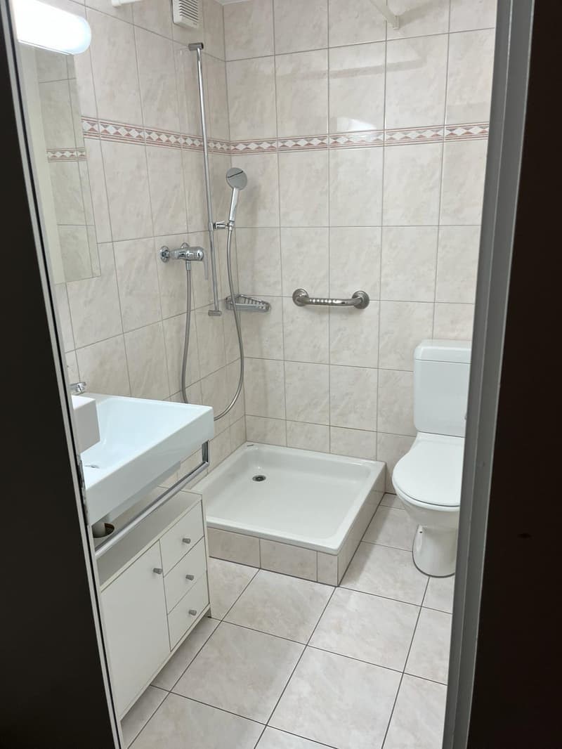 1 room apartment