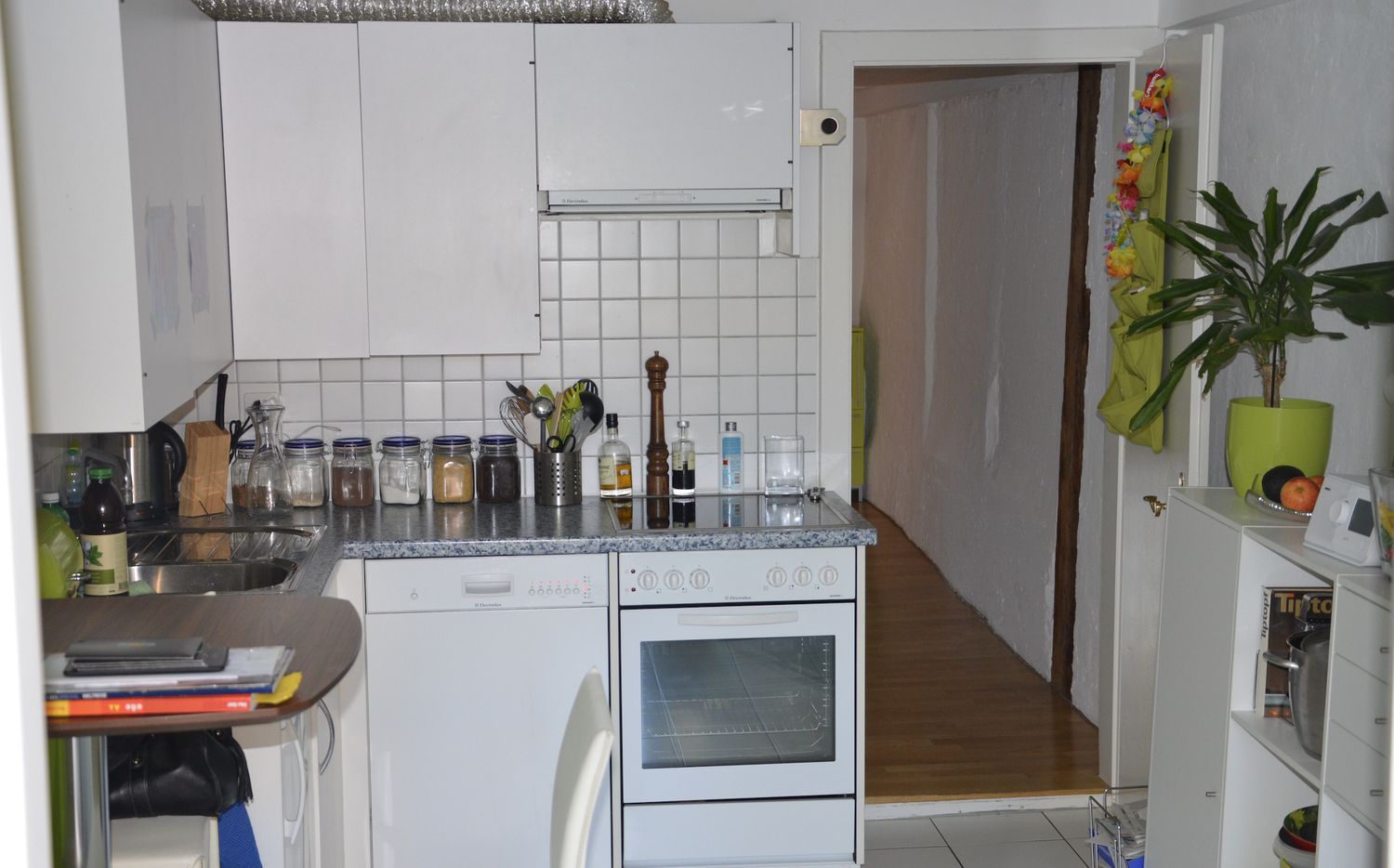 Appartement de 3 ½ pièces