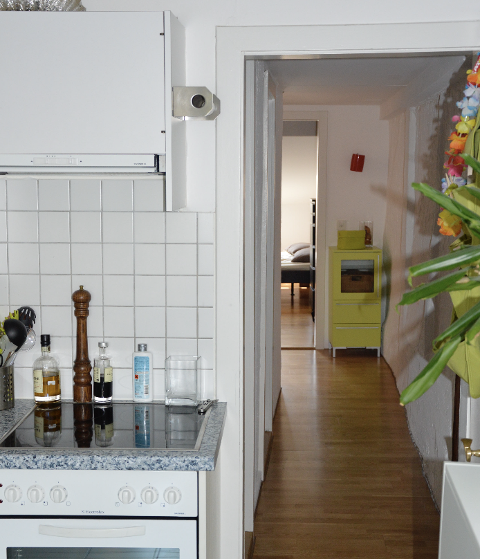 Appartement de 3 ½ pièces