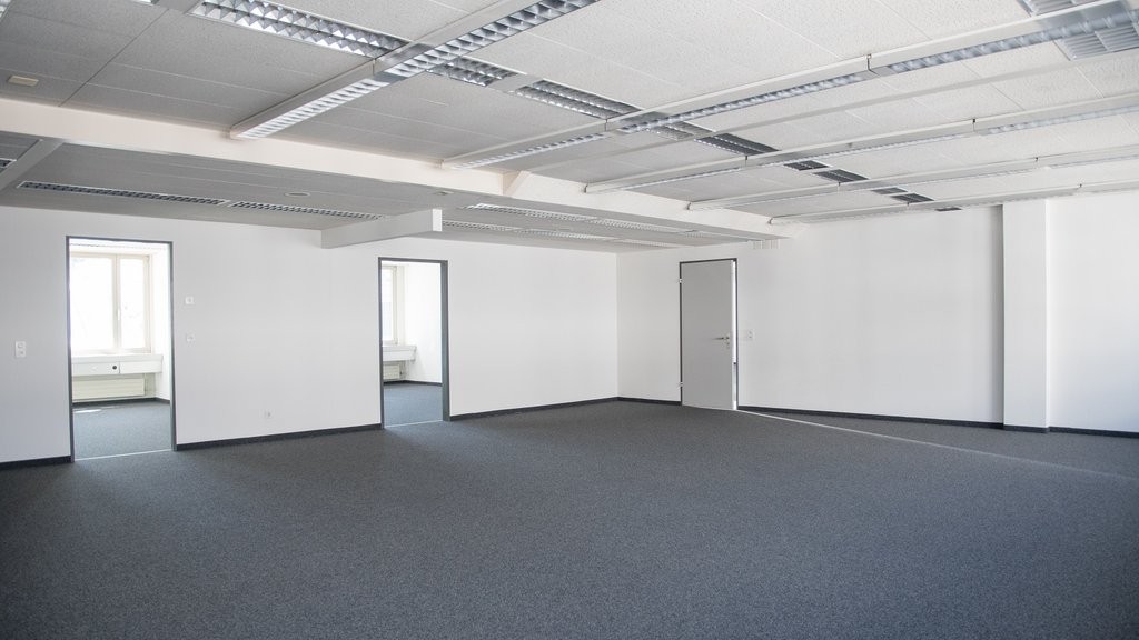 295m² office