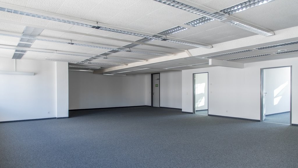 295m² office