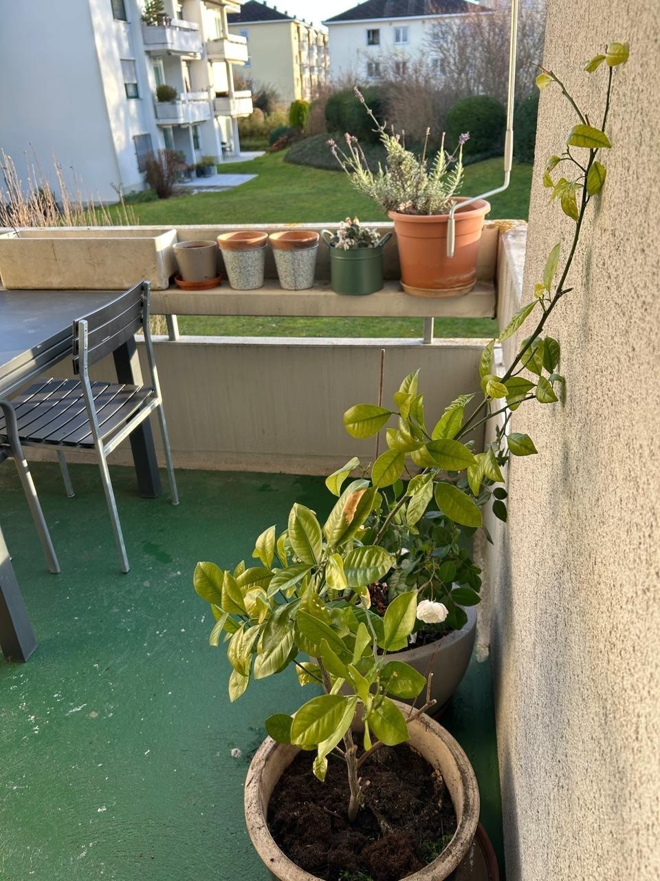 2 ½ rooms apartment