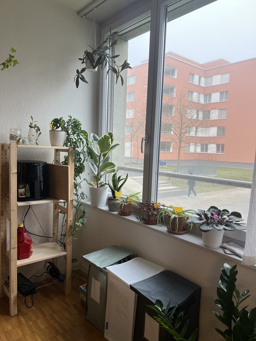 Appartement de 2 ½ pièces