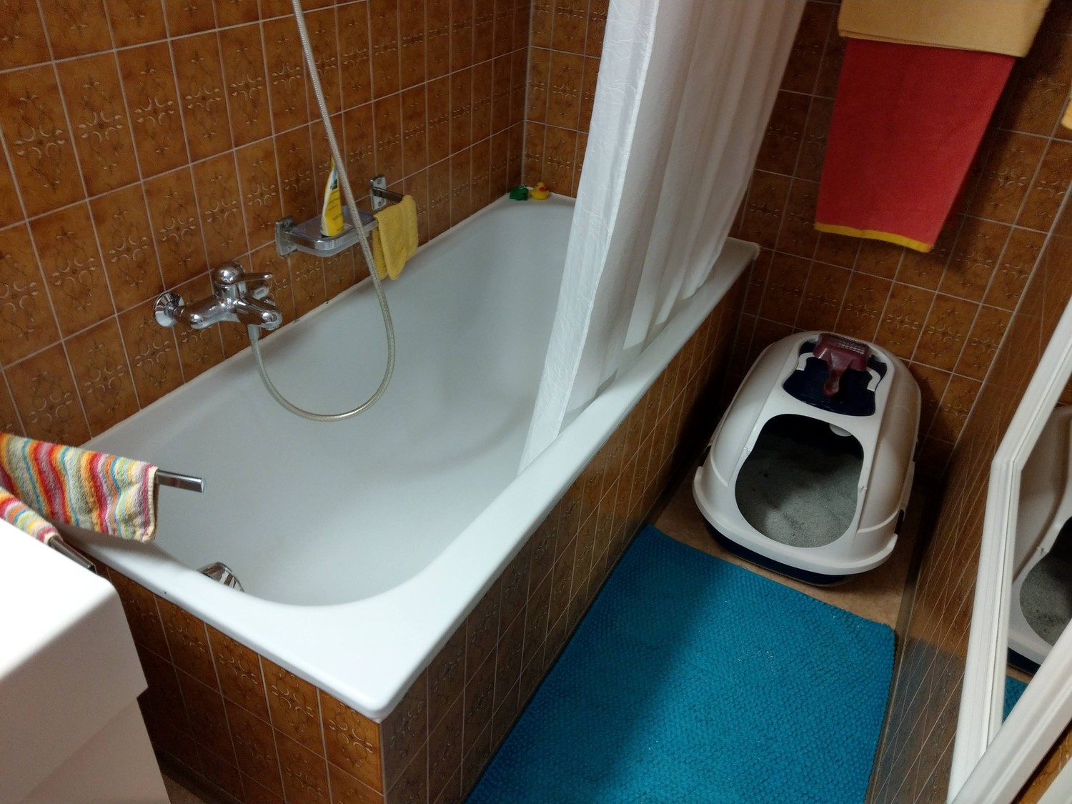 Room in a shared flat
