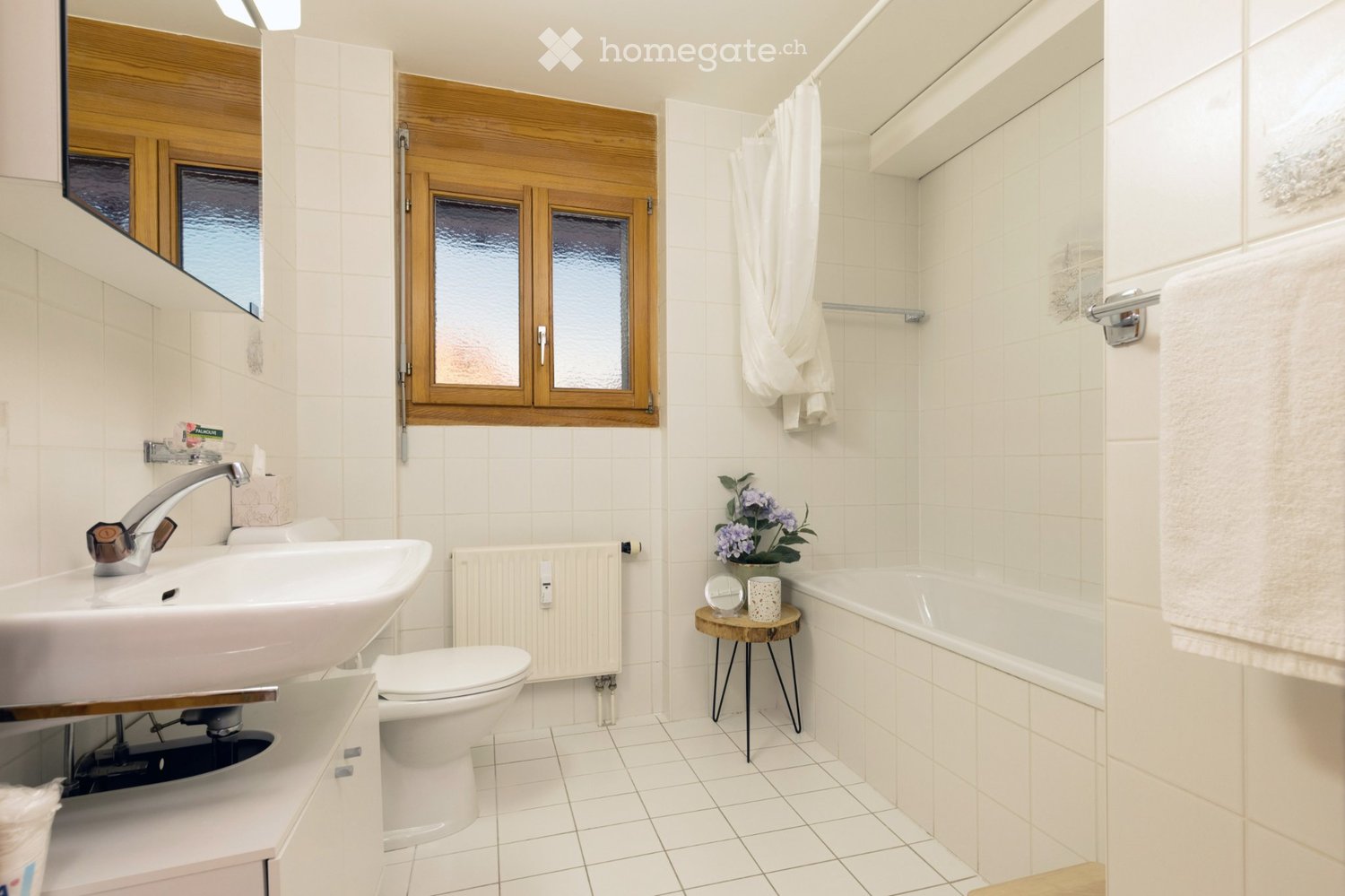 3 ½ Zimmer Wohnung