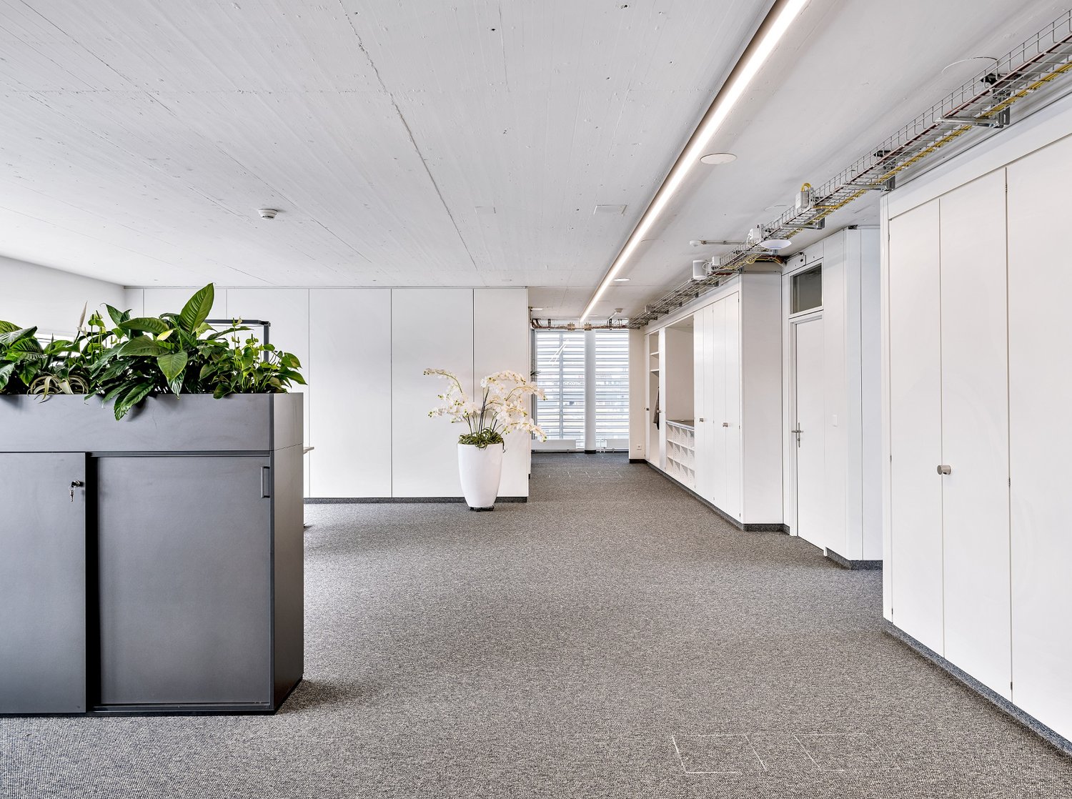 1424m² office