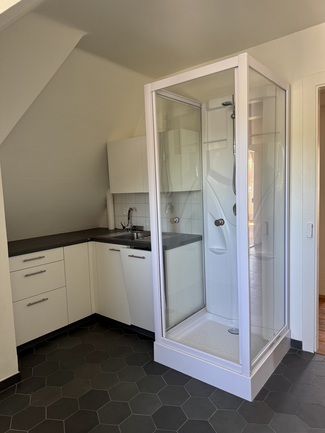 Appartement de 3 ½ pièces