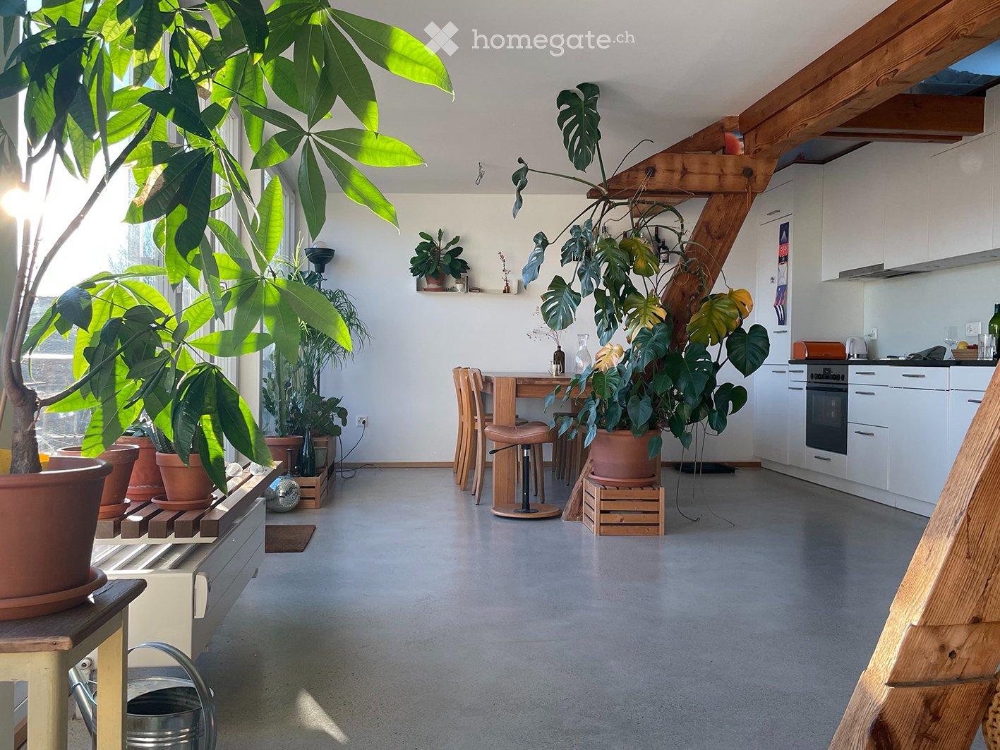 1 room apartment
