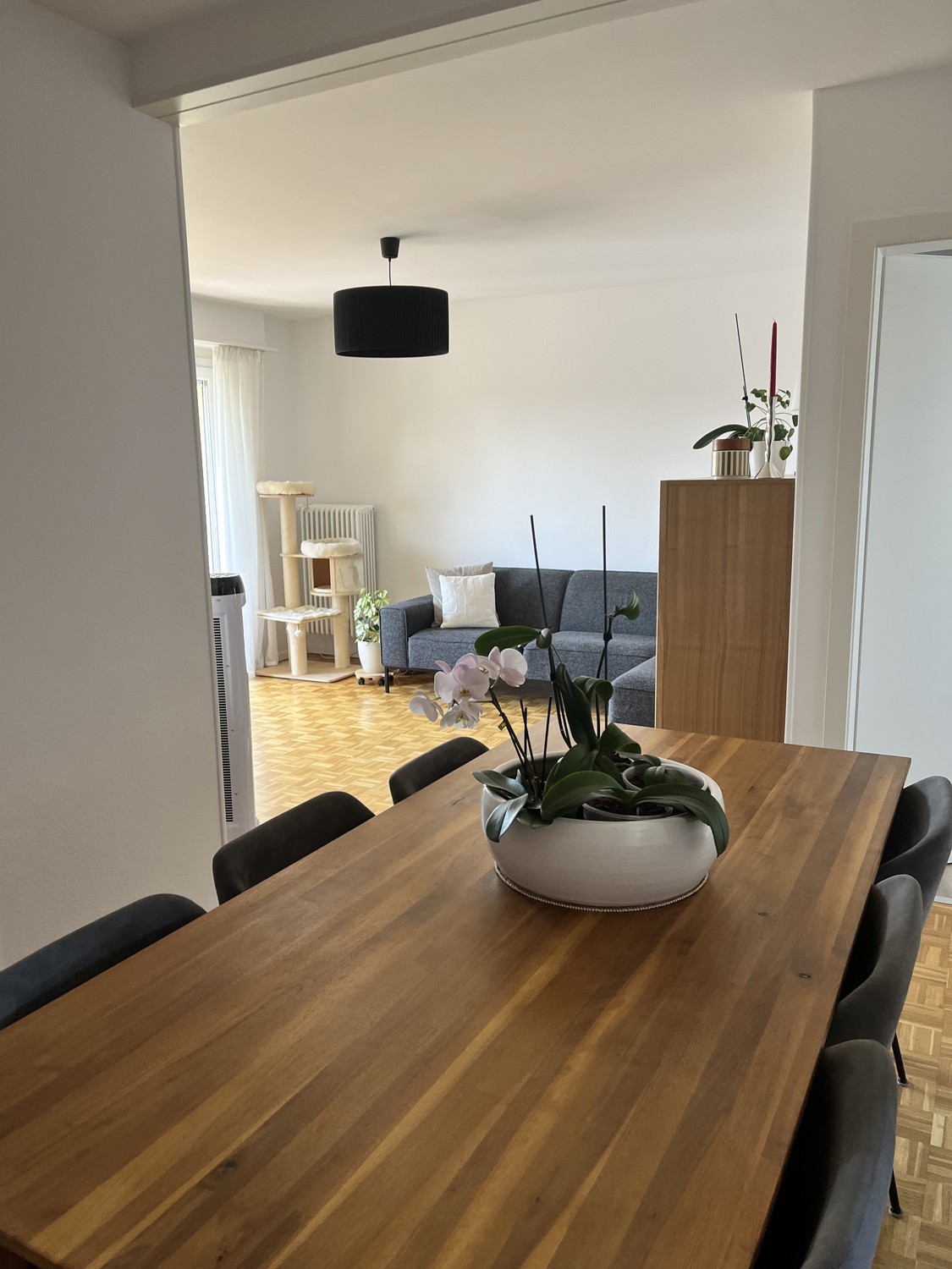 appartamento di 3 ½ locali