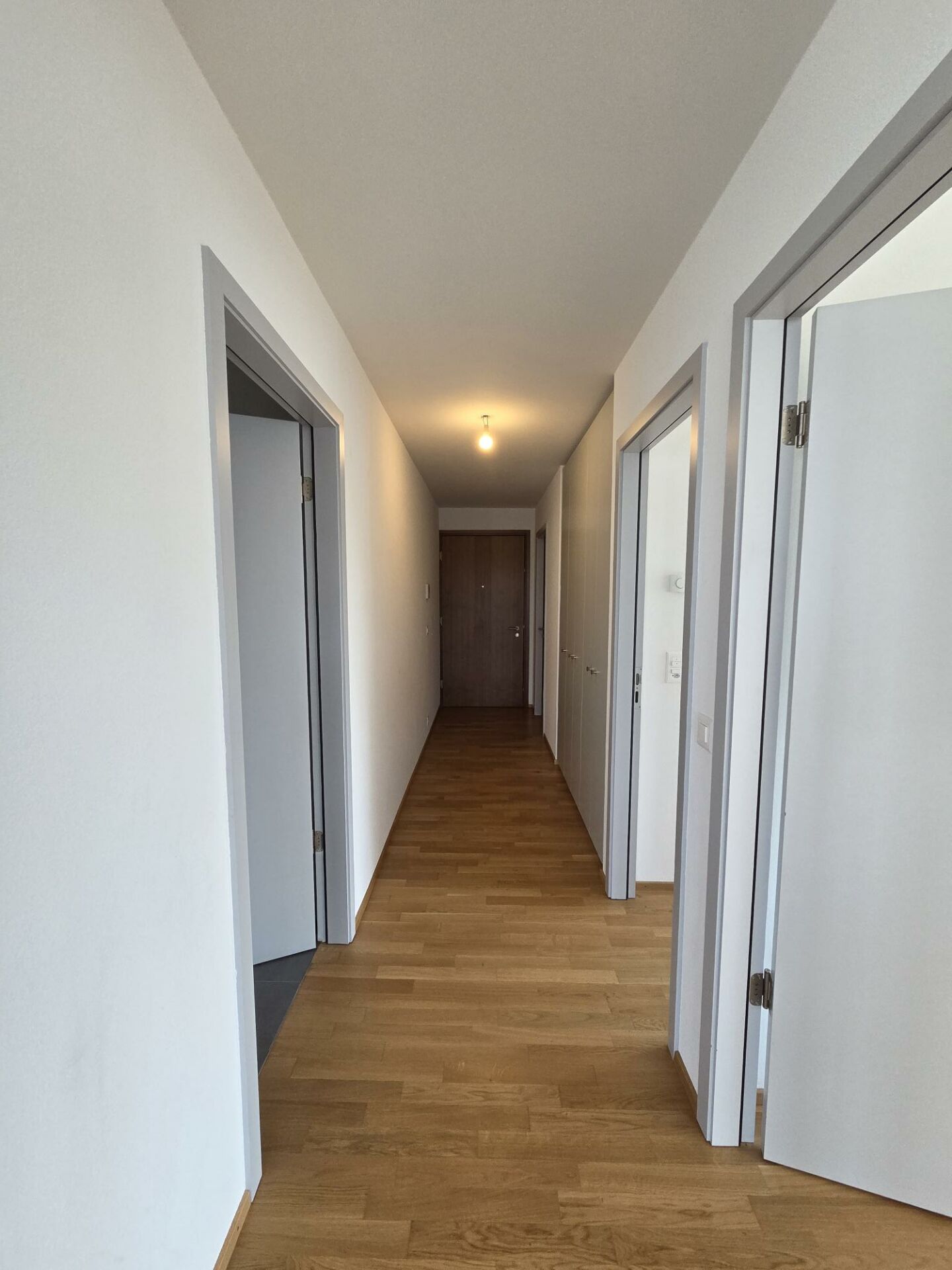 3 rooms apartment