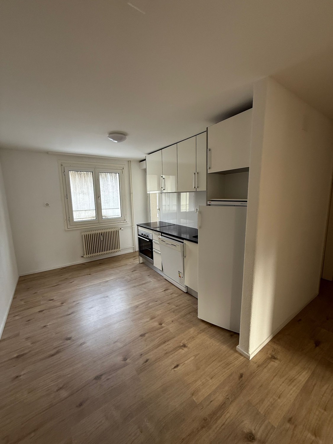 Appartamento di 3 ½ locali