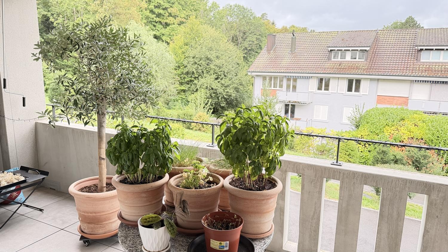 Room in a shared flat