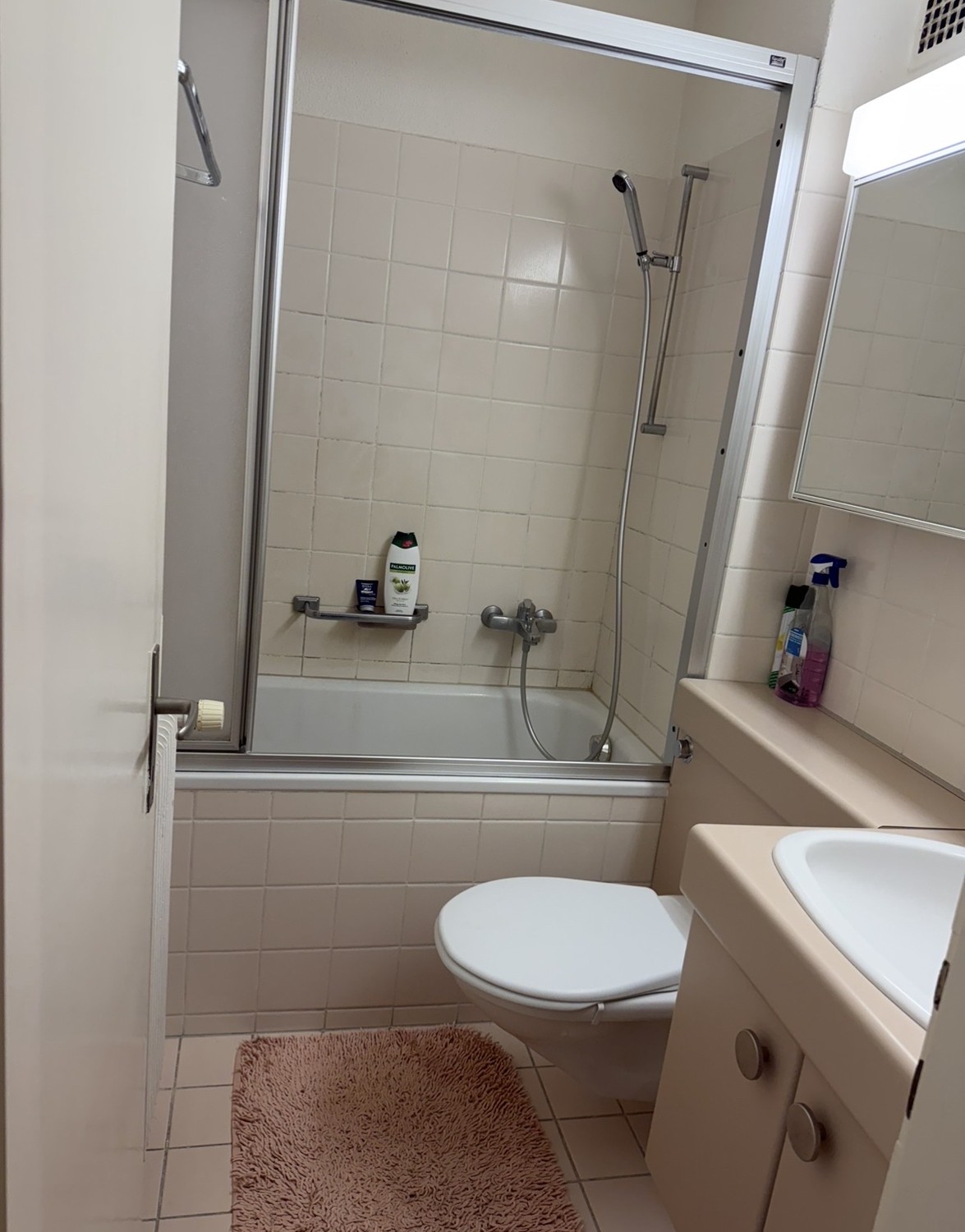 Appartement de 1 ½ pièce
