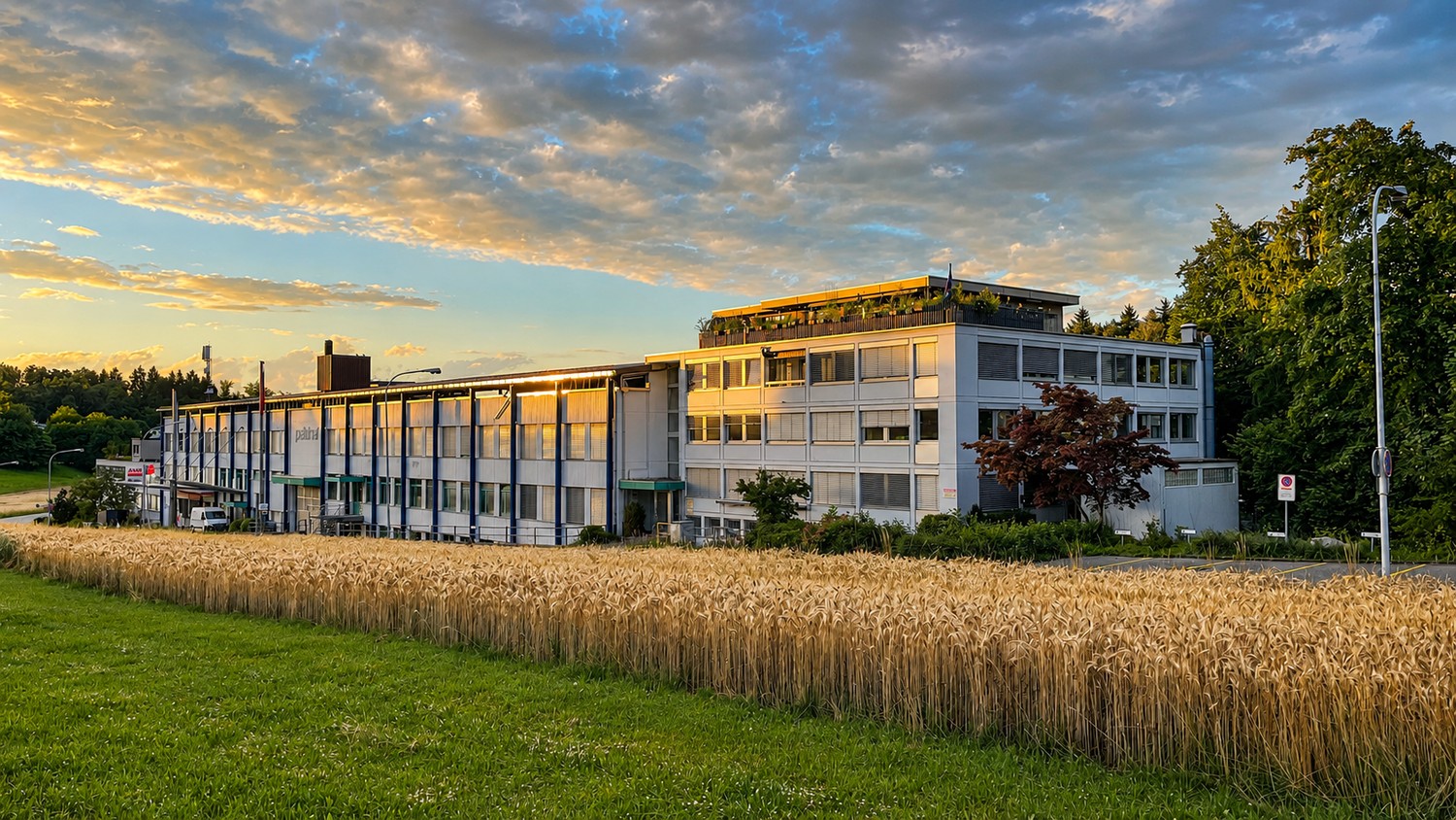 195m² commercial