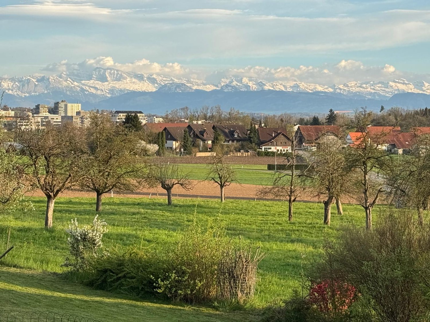 Appartamento di 3 ½ locali