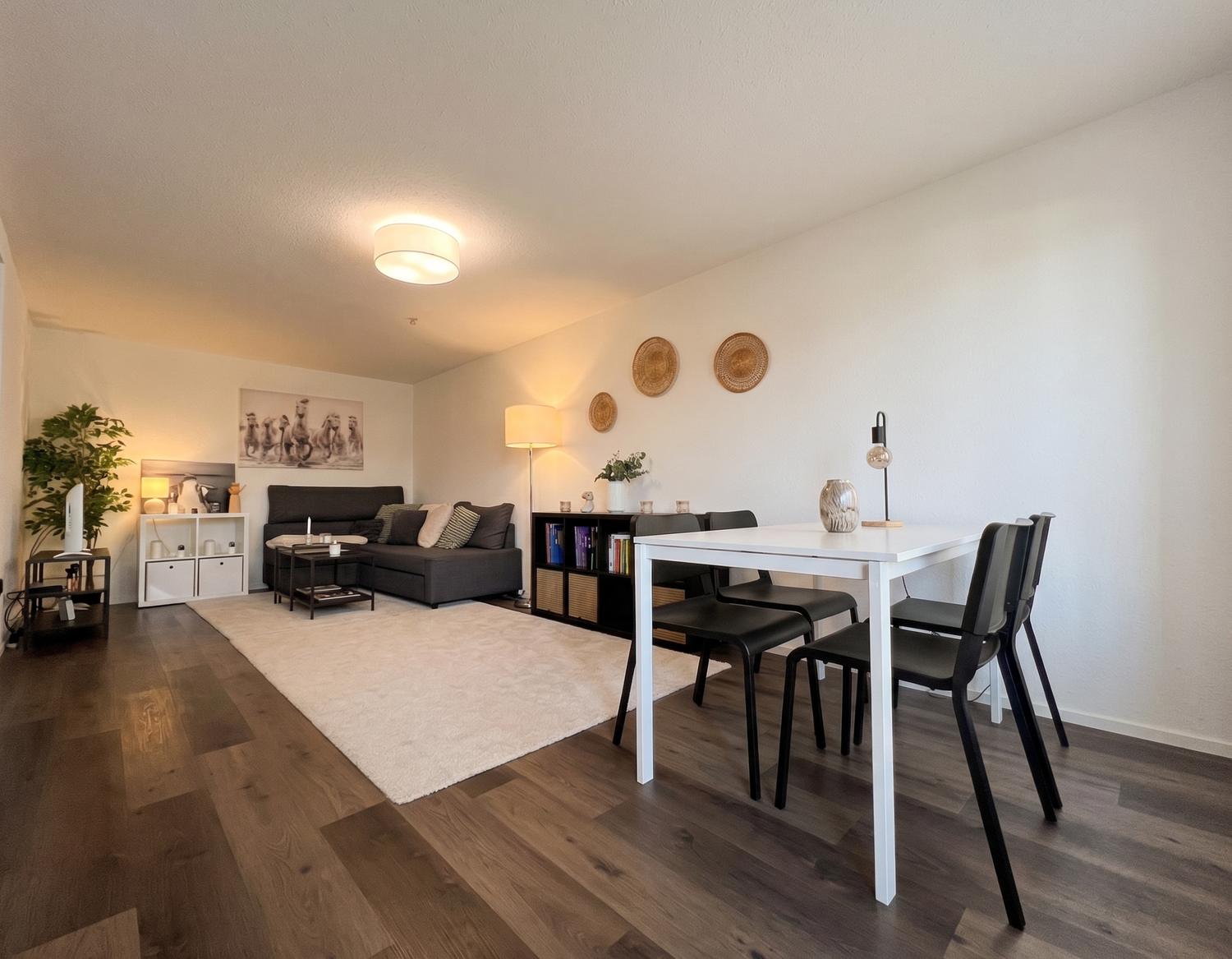 2 ½ rooms apartment