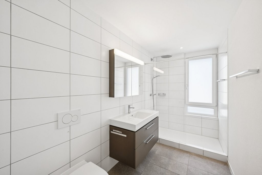 4 ½ pièces appartement au grenier