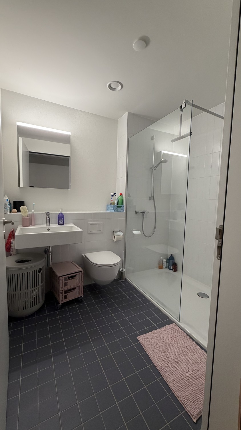 Appartement de 1 ½ pièces