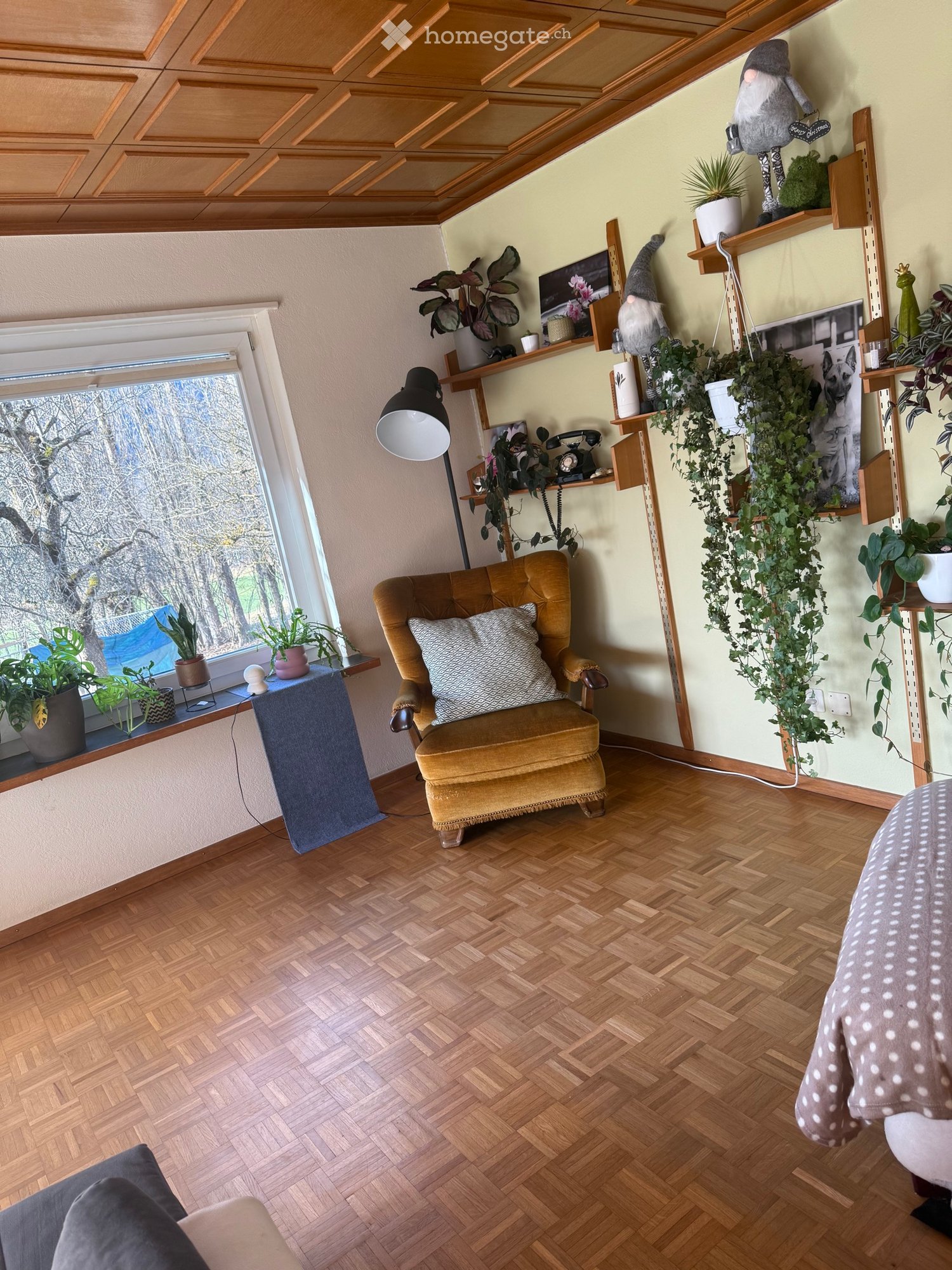 1 room single room