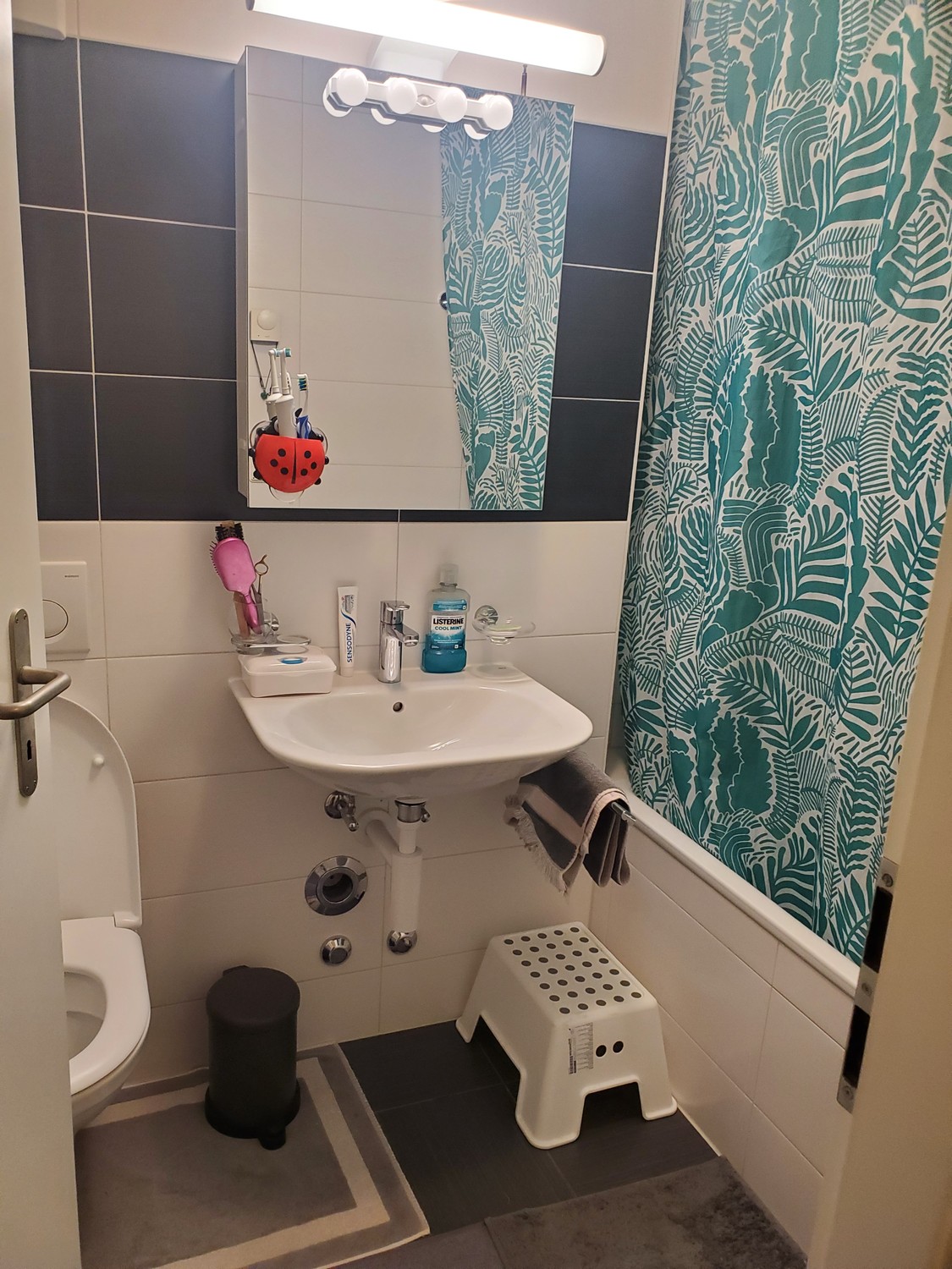Appartement de 1 ½ pièces