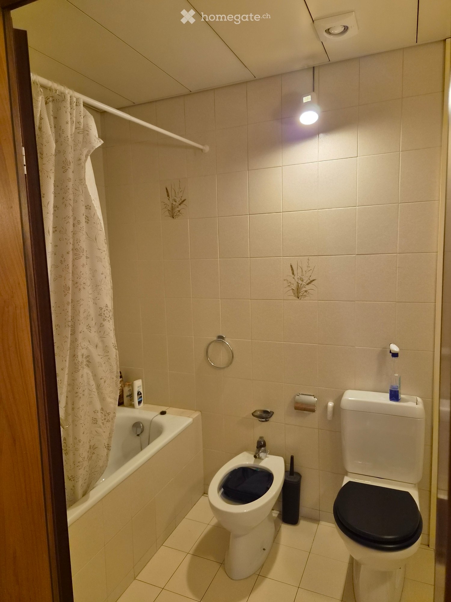 3-Zimmer-Wohnung