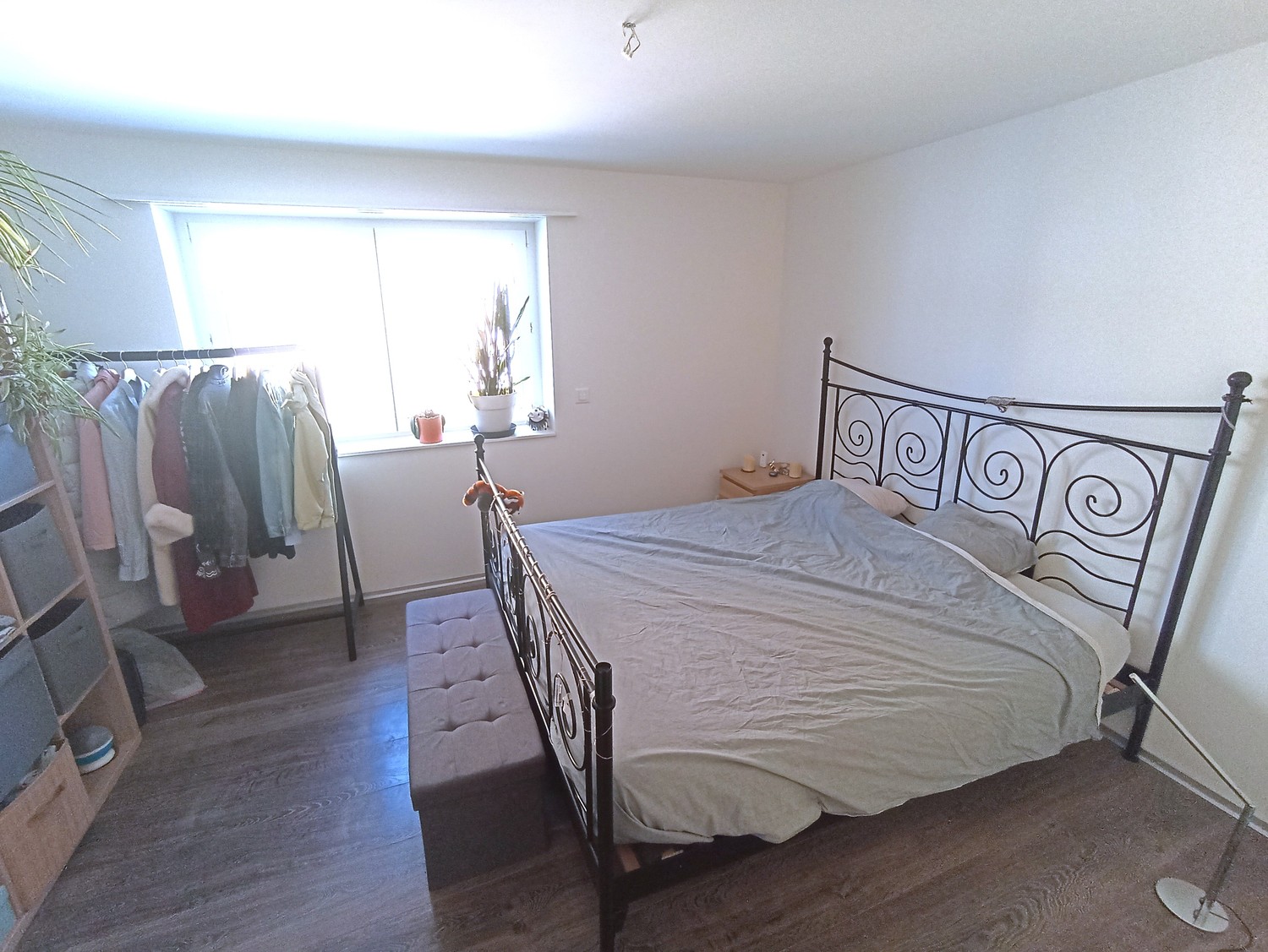 2 ½ Zimmer-Wohnung