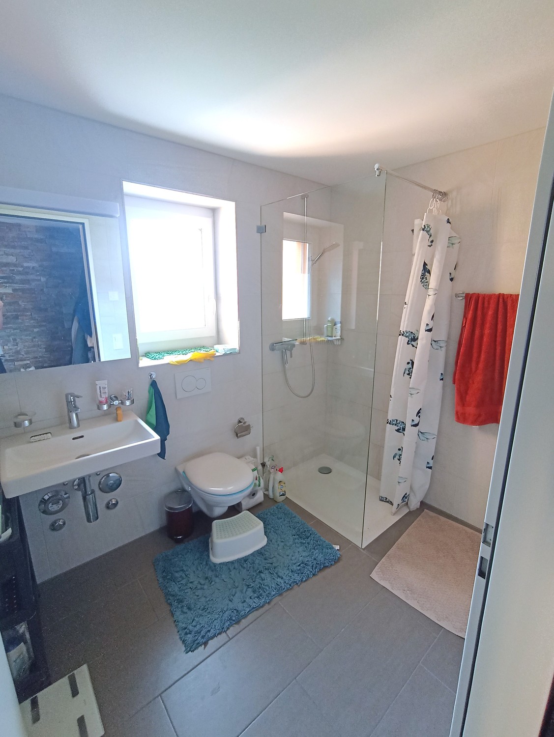 2 ½ Zimmer-Wohnung