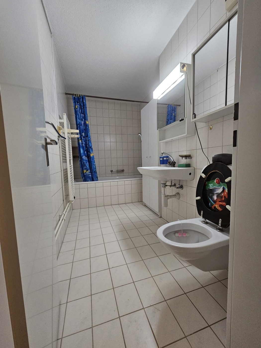 5 ½ rooms single house