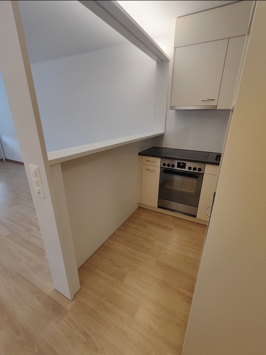 Appartement d'une pièce