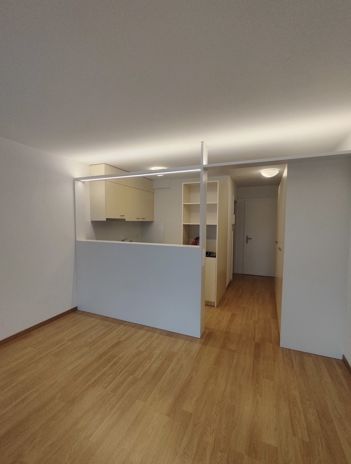 Appartement d'une pièce